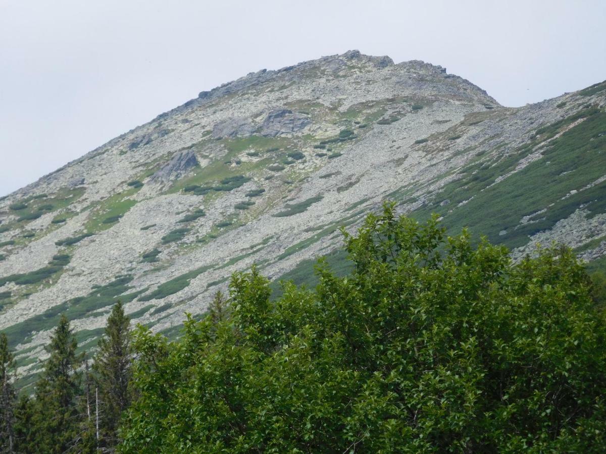 High Tatras - Patris 27 Apartman Tátracsorba Kültér fotó
